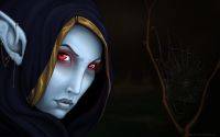 Traxex Drow Ranger spiderweb DOTA hero widescreen wallpaper