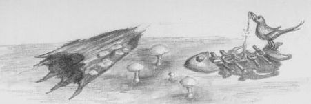 mushrooms dead fish  art pencil sketch drawing