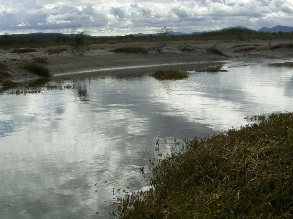 gouritz river south africa 1  photography