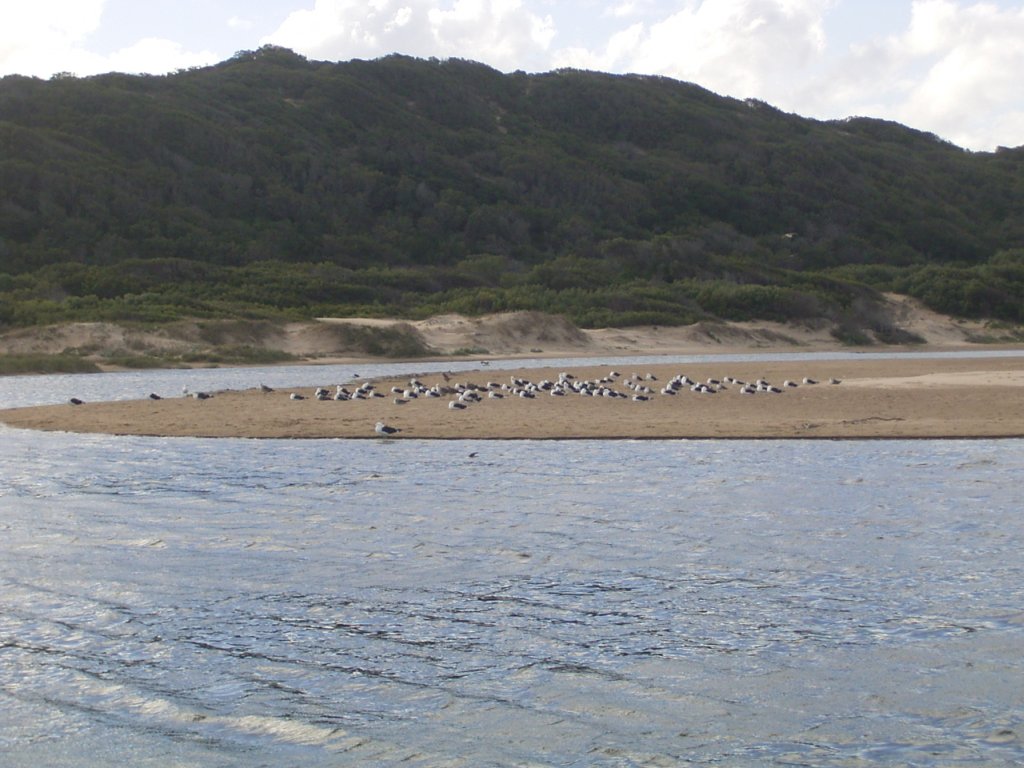 gouritz river south africa 7  photography