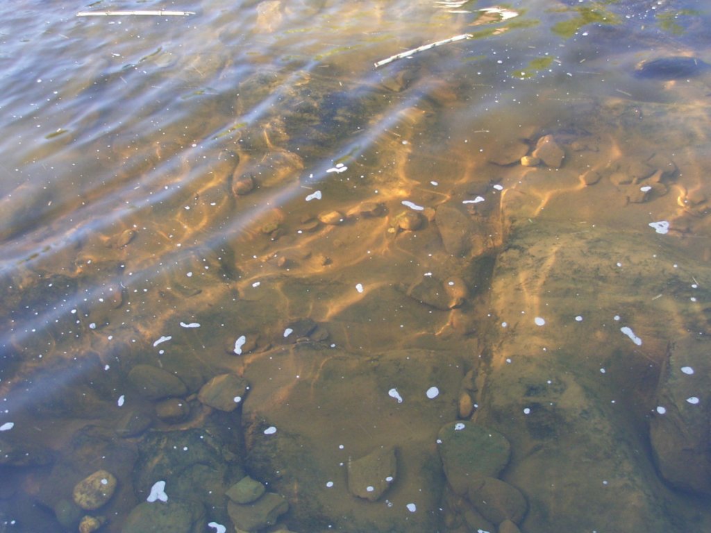 ocean rock pool 2  photography
