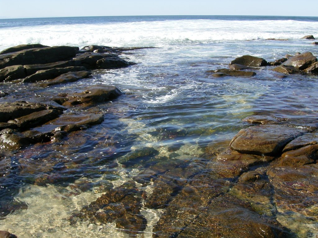 ocean rock pool 4  photography