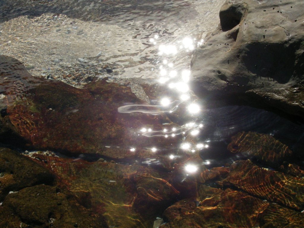 ocean rock pool 5  photography