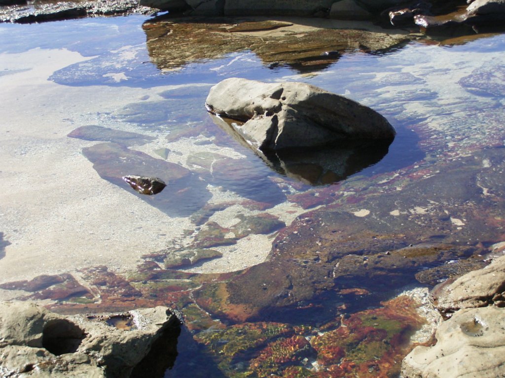 ocean rock pool 7  photography