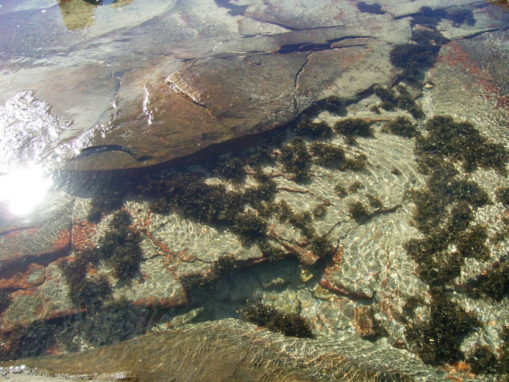 ocean rock pool 8  photography