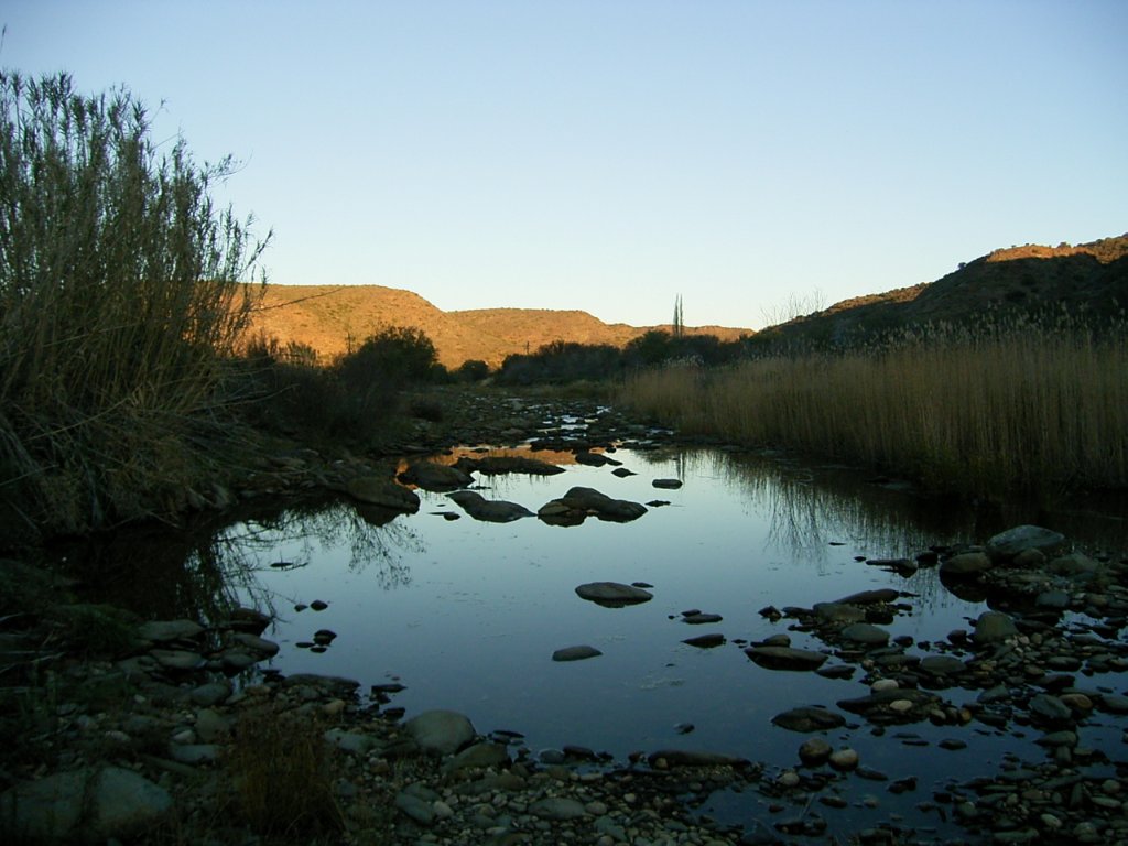 river reflection 2  photography