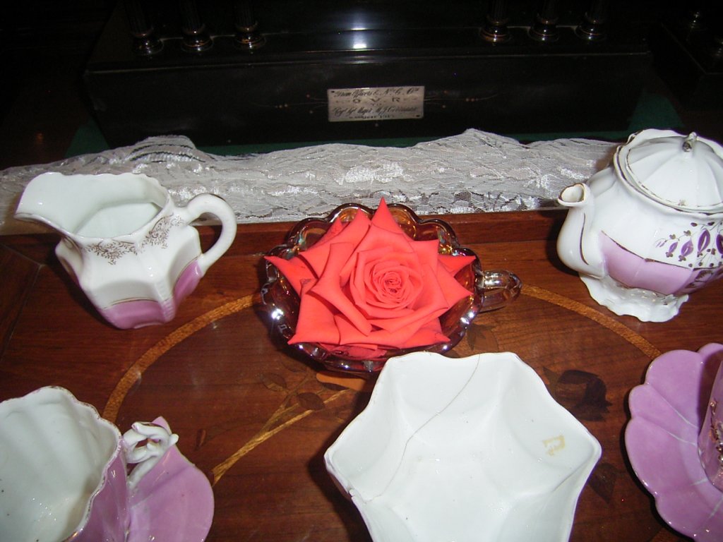 rose photo 3  photography