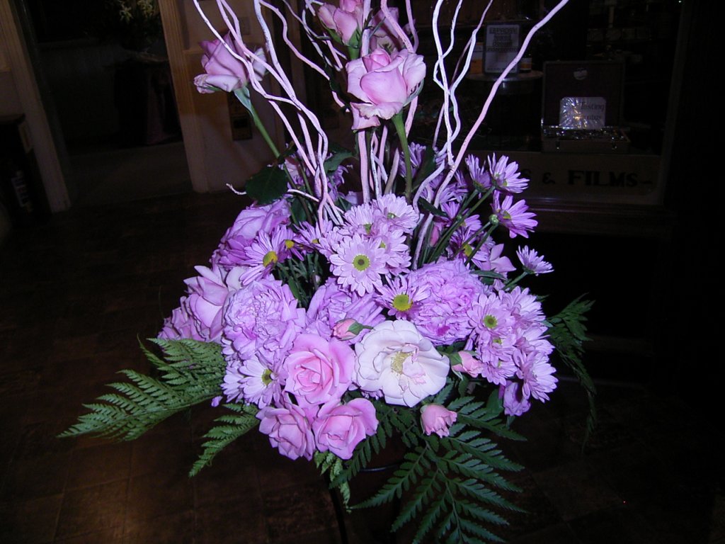 rose photo 5  photography