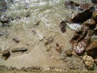 beach tide rocks water 2 