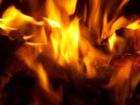 fire flames photo 066 purple pink lilac orchid