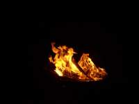 fire flames photo a013 purple pink lilac orchid