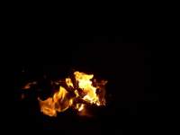 fire flames photo a018 purple pink lilac orchid