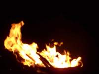 fire flames photo a021 purple pink lilac orchid