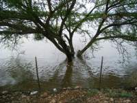 flood damage roads underwater 4 