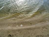 gouritz river south africa 4 