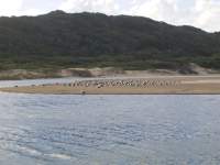 gouritz river south africa 7 