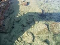 ocean rock pool 1 