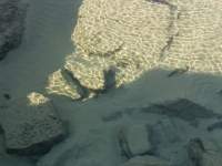 ocean rock pool purple pink lilac orchid