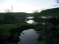 river reflection 2 1 