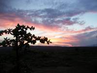 sunset clouds 11 purple pink lilac orchid