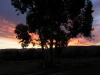 sunset clouds tree 20 